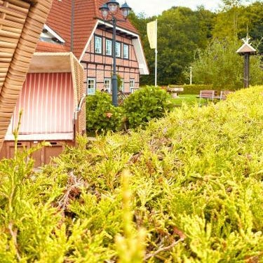 Hotel Auerhahn Thumbnail