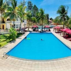 New Park Resort
