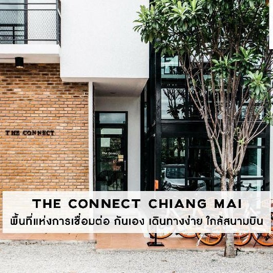 The Connect Chiang Mai Thumbnail