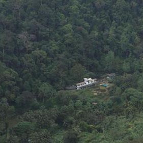 Explore Sinharaja Rain Forest Tour Camp