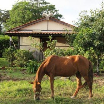 Finca Lindos Ojos Thumbnail