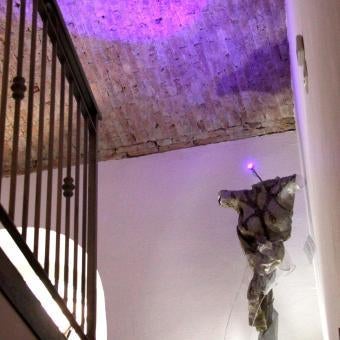 Trieste Art Loft