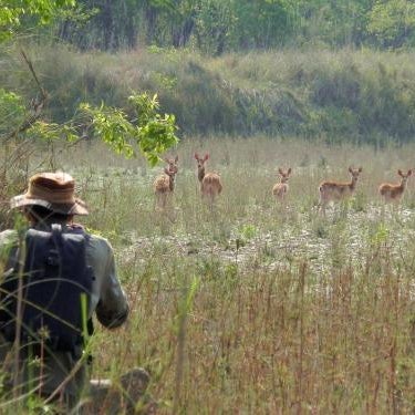 Racy Shade Resort Pvt.Ltd. Thumbnail