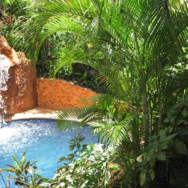 Roatan Backpackers' Hostel Thumbnail