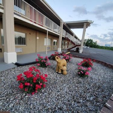 Big Spring Inn Madisonville Thumbnail
