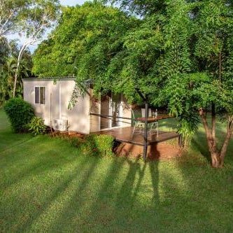 Banyan Tree Thumbnail