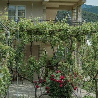 Apartmani Mendula