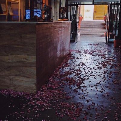 Beit Al Ward Thumbnail