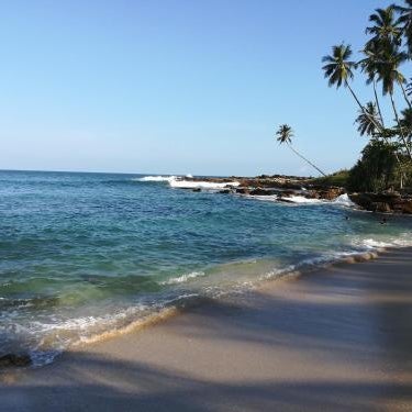 Star beach hotel Thumbnail
