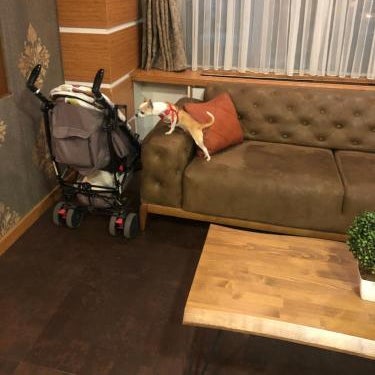 Line Suite Hotel