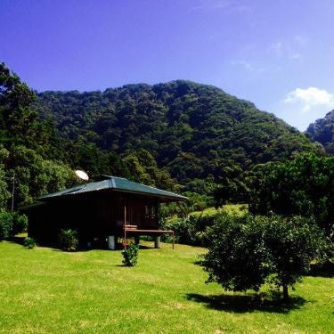 Lemon House Monteverde Thumbnail