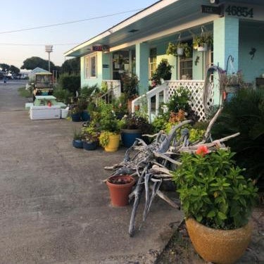 Swell Motel Thumbnail