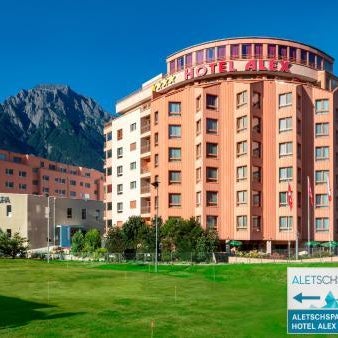Hotel Alex Business & SPA