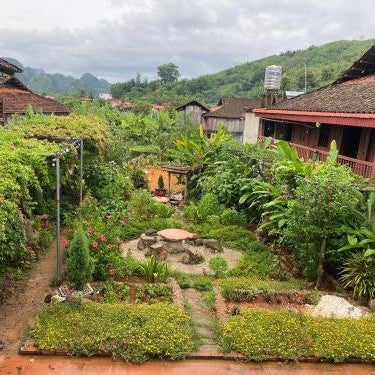 Homestay Rung Xanh Huu Lien