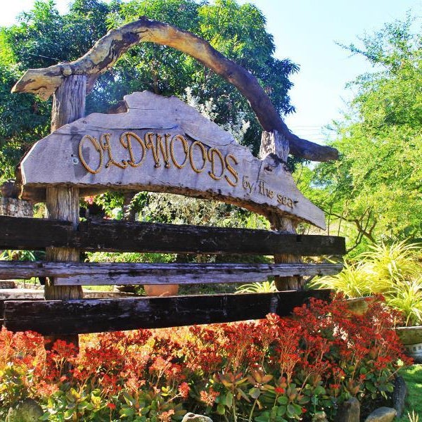Oldwoods by the Sea Nature Resort Bani Pangasinan Thumbnail
