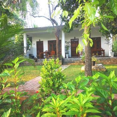 The Cattleya Guest House Sigiriya Thumbnail