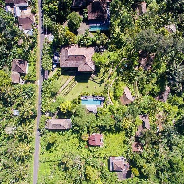 Alassari Plantation Thumbnail