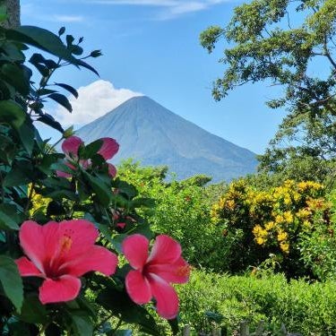 El Encanto Garden Hotel Thumbnail