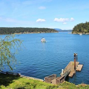 Friday Harbor Lights Thumbnail