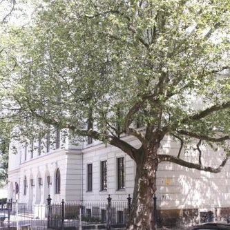 Silentio Schletterstrasse Thumbnail