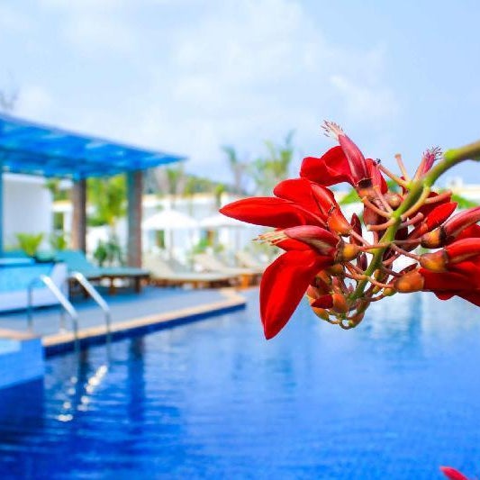 Long Set Resort Thumbnail