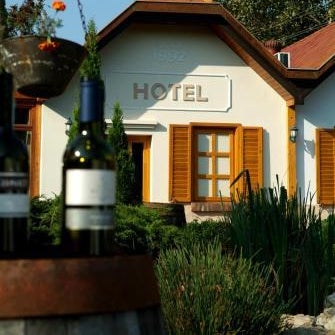 Hotel Vineyard Inn - Szőlőskert