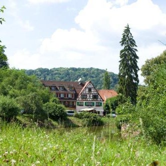 Logis Hôtel-Restaurant Auberge d'Imsthal