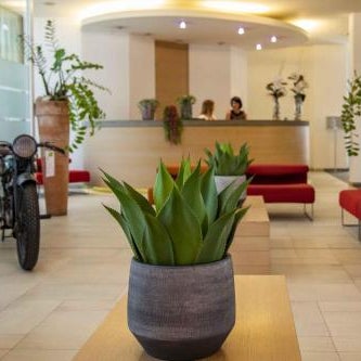 B&B HOTEL Remilia