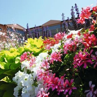 LES TERRASSES DE BORDA***