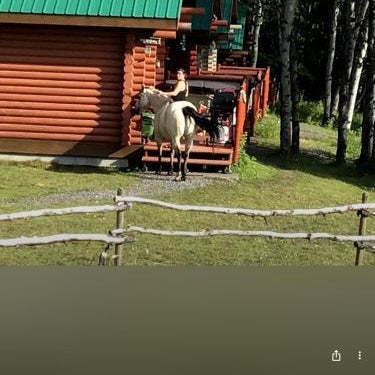 Montana Hill Guest Ranch Thumbnail