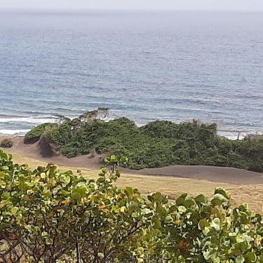 The Milligan Guest House Thumbnail