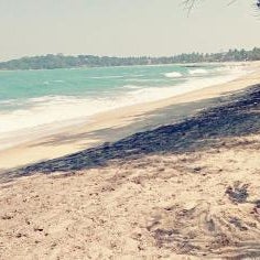 Bay Dreams Beach Hotel & Surf Camp