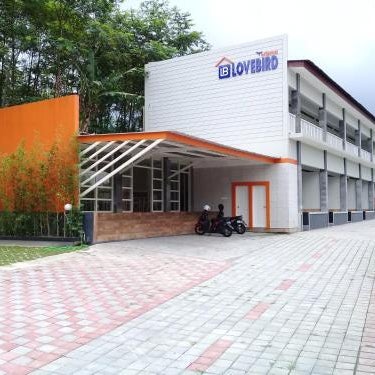 Wisma Lovebird