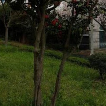 Browndot Hotel Mokpo Gotbawi