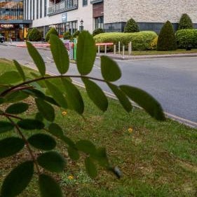 Carlton Hotel Dublin Airport Thumbnail