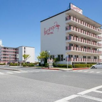 Flamingo Motel Thumbnail