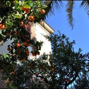 Hotel Lodi Thumbnail