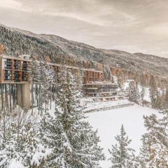 My Arbor - Dolomites