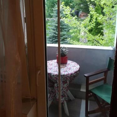 Vila Kraljica Vrdnik