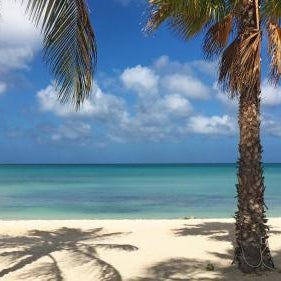 Affordable family apartment only 350 yards from Eagle Beach Thumbnail