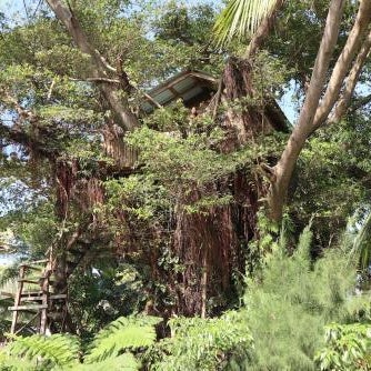 Castle Tree House And Bungalow Thumbnail