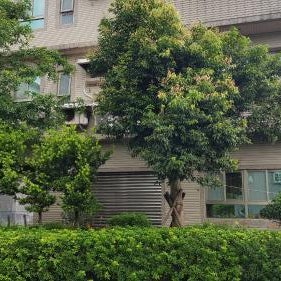 Toucheng Homestay Thumbnail