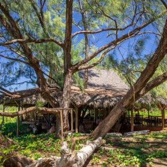 Varatraza Wind Riders Thumbnail