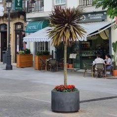 Hotel Mediante