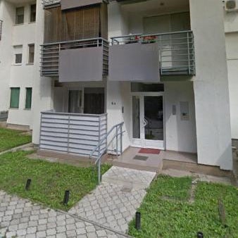 Apartment Cherry