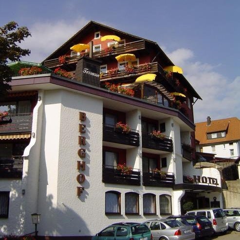 Panoramahotel Berghof