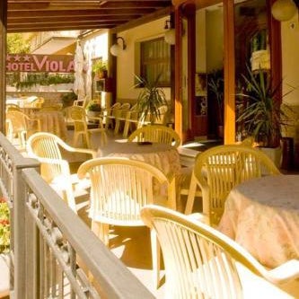 Hotel Viola