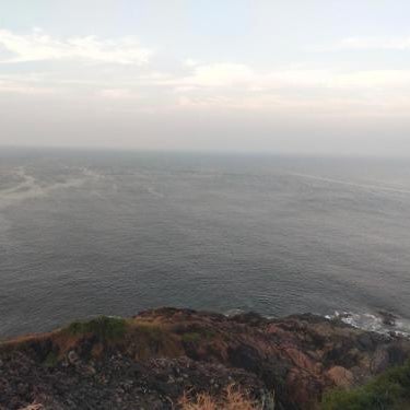 Jungle by sturmfrei Gokarna Thumbnail