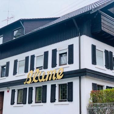 Gasthaus & Pension Bracki gusti