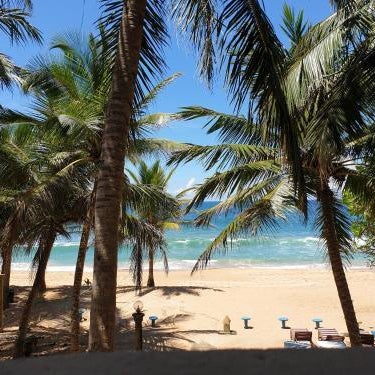 Oasey Ayurveda Hotel Thumbnail